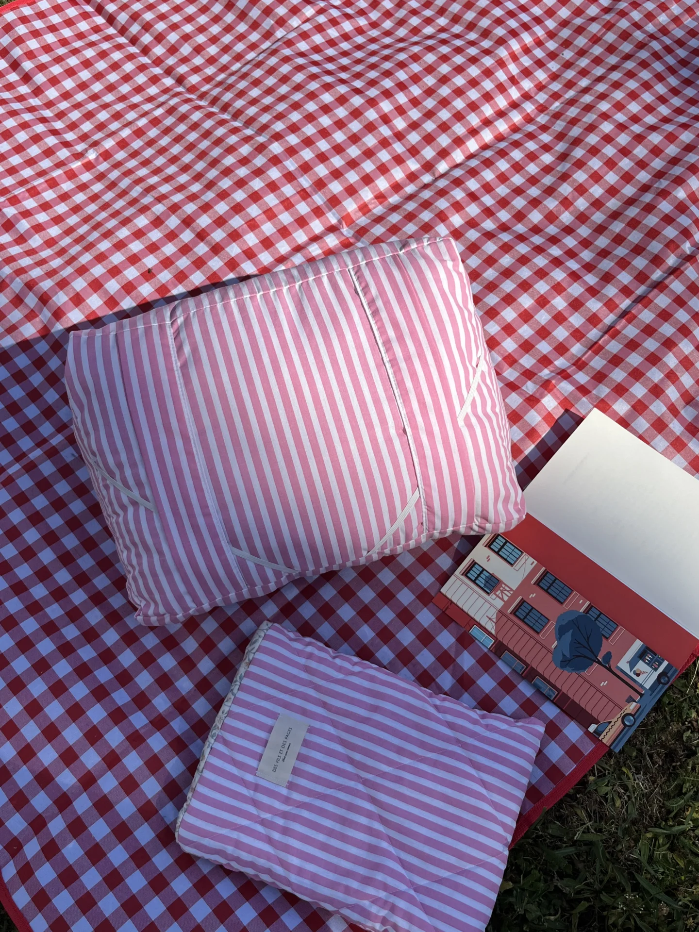 Coussin de lecture